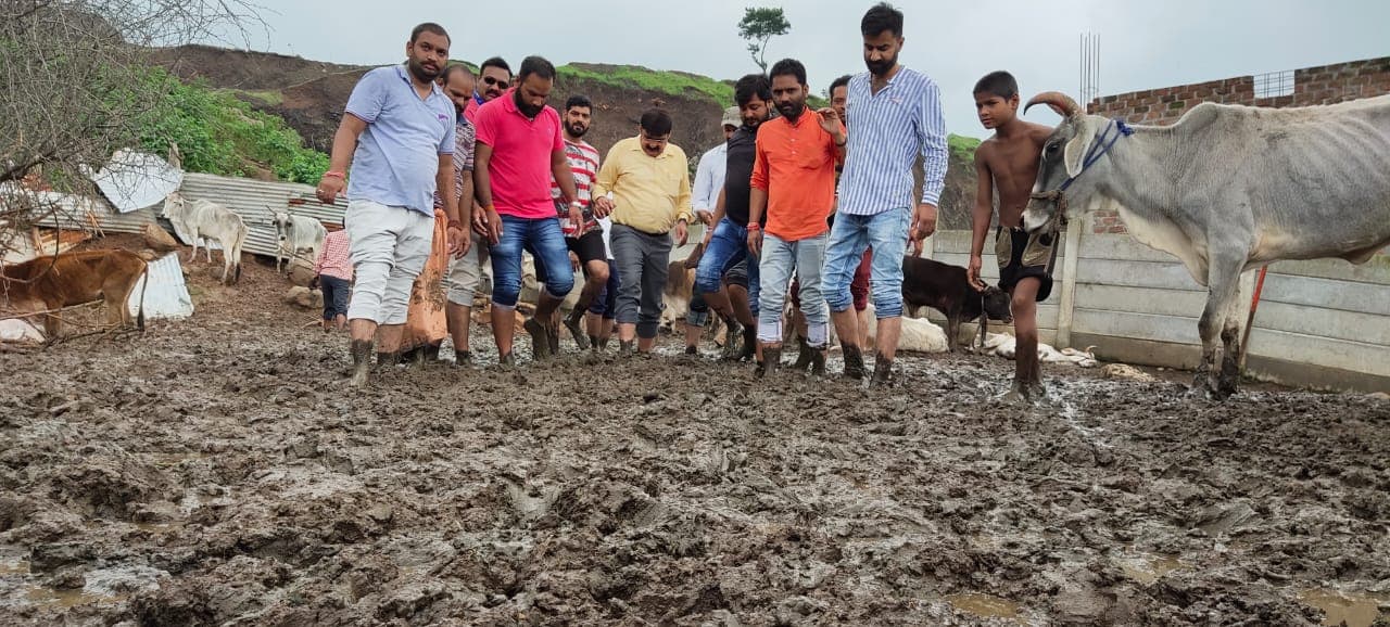 गौशाला में हुई 24 गायों की मौत, धरने पर बैठे गौ-सेवक, कलेक्टर ने दिए जांच के आदेश
