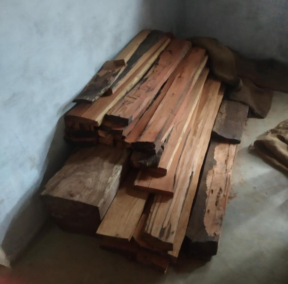 इमारती लकड़ी के साथ आरोपी गिरफ्तार, वन विभाग की कार्रवाई
