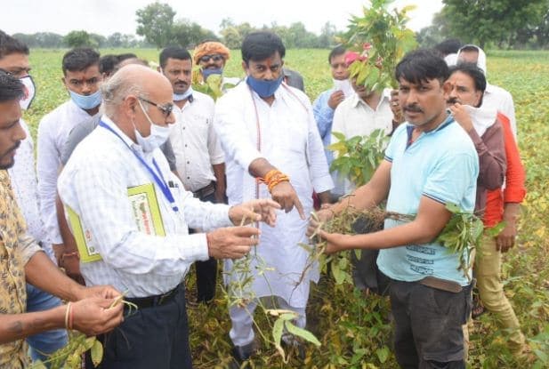 प्रोटेम स्पीकर ने खेतों में उतरकर जाना सोयाबीन का हाल, PM फसल बीमा योजना से दिया जाएगा मुआवजा