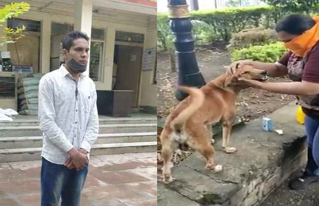 जब तालाब मे फेंके गये कुत्ते ने मूक भाषा में बयान की दर्दभरी दास्तान