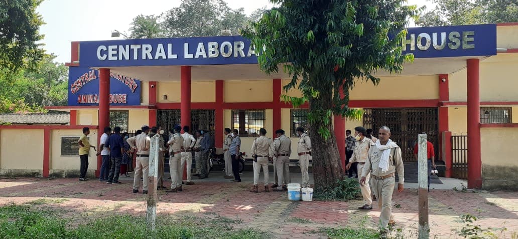 जबलपुर: वेटरनरी कॉलेज बना तेंदुआ का अड्डा, वन विभाग की टीम ट्रैपिंग में जुटी