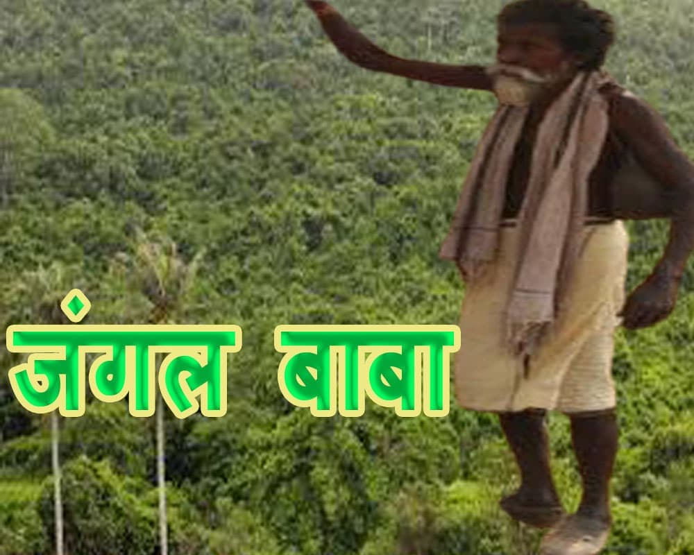 जुनून ऐसा कि उजाड़ जंगल को हरा भरा कर दिया 60 साल के रामनाथ ने