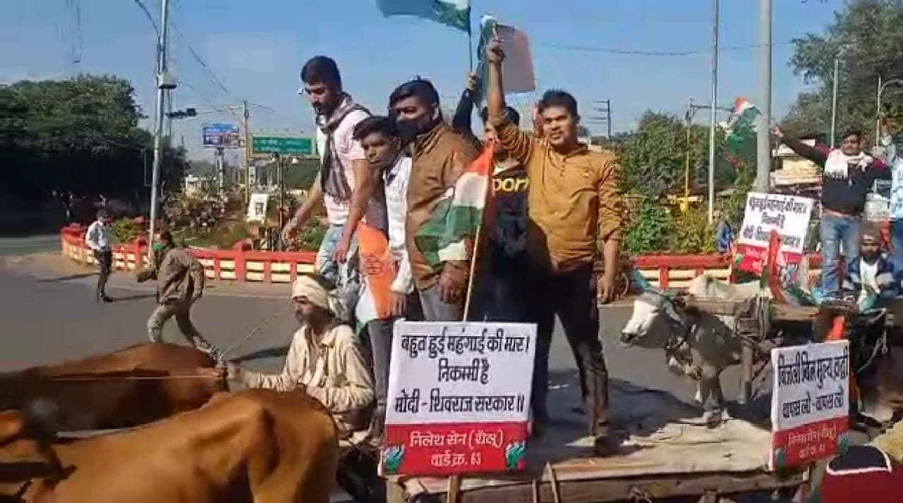 Indore News- पेट्रोल-डीजल के दामों में आग, बैलगाड़ी लेकर सड़कों पर उतरी कांग्रेस