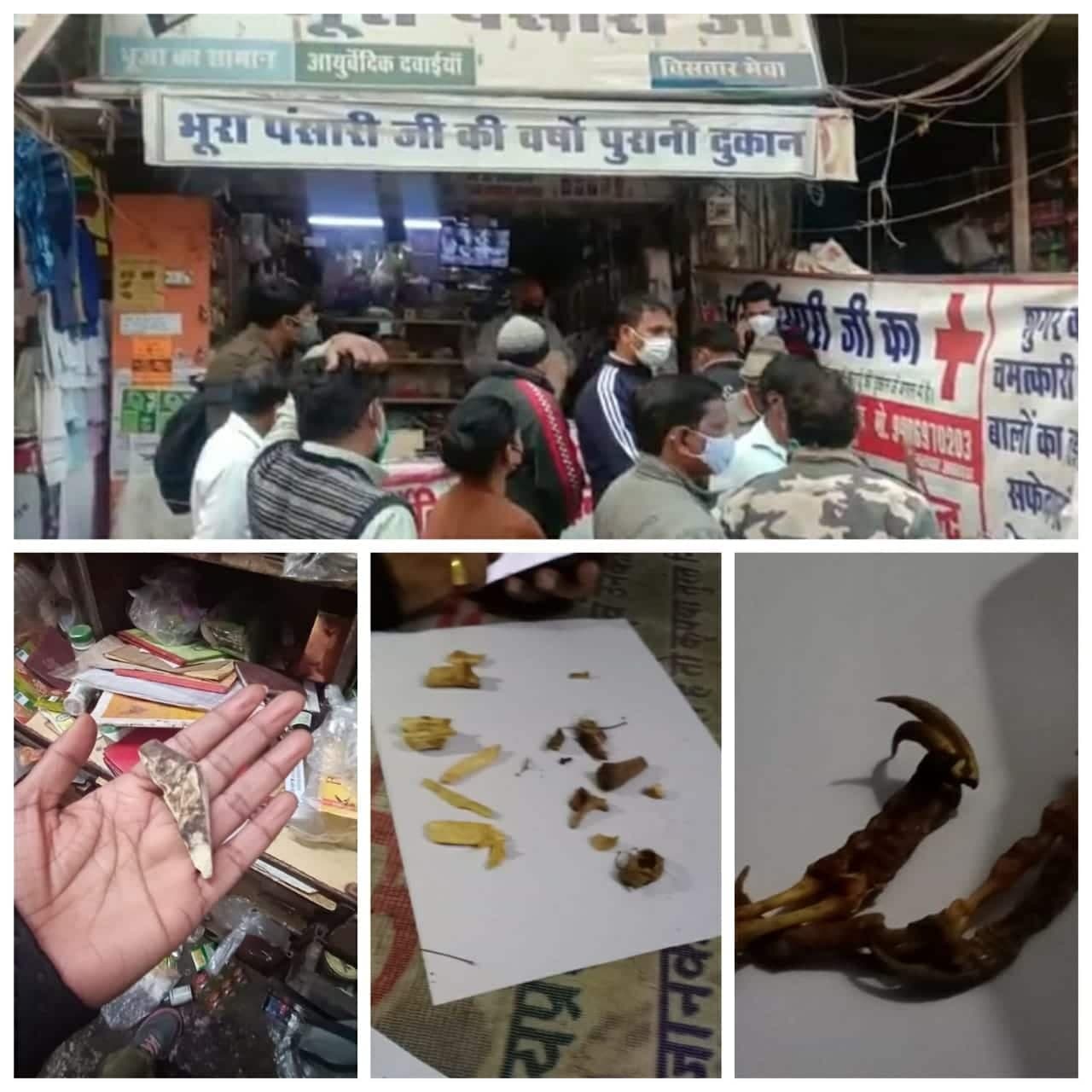 किराने की दुकान पर मिले वन्य जीवों के अंग, वन विभाग ने मारा छापा