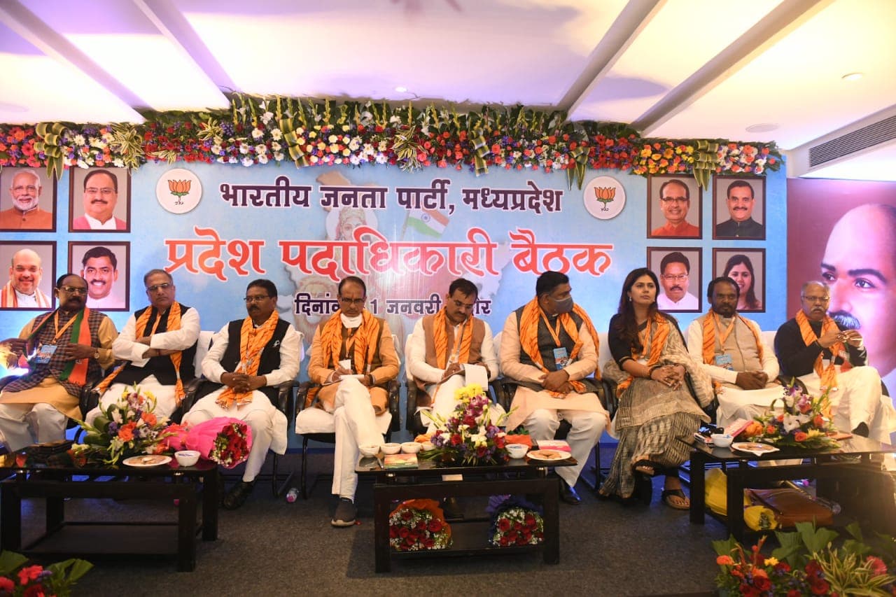 नगरीय निकाय चुनाव : भाजपा का रोडमैप तैयार, माइक्रो प्लानिंग से लड़ेगी चुनाव