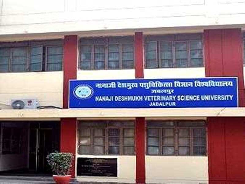 नए साल में 50 प्राध्यापकों को मिला प्रमोशन का तोहफा