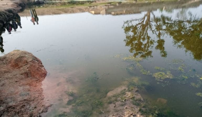 तलैया में डूबने से एक ही परिवार के तीन बच्चों की मौत, गांव में मातम