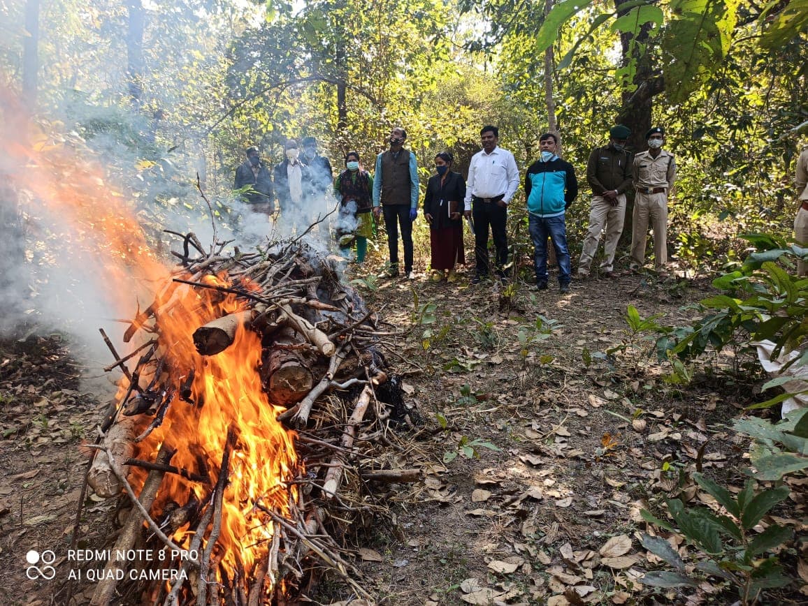 नर और गर्भवती तेंदुए का शव मिला, जहर देकर शिकार की आशंका, जांच में जुटा वनविभाग