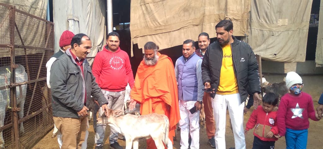 बदलाव- कुछ ऐसे मनाया साल का पहला दिन, गौशाला में गुड़ और चुनी लेकर पहुंचे युवा