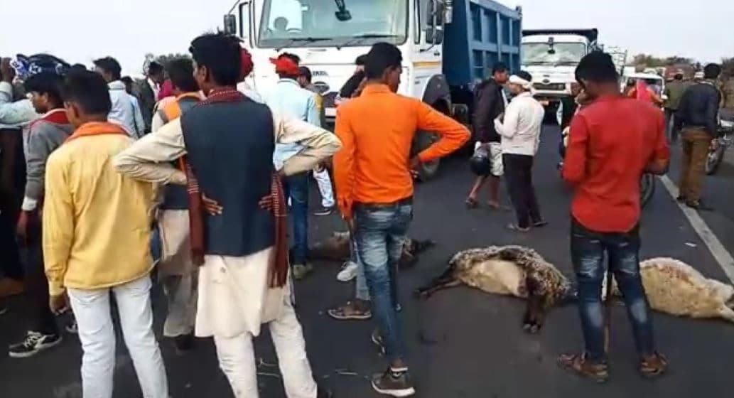 राजगढ़ में 40 से अधिक भेंडों की मौत, शव रखकर हाईवे पर लगाया जाम