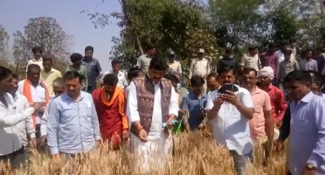 राजस्व मंत्री ने बारिश से खराब हुई फसलों का मुआवना किया, सर्वे के निर्देश दिये