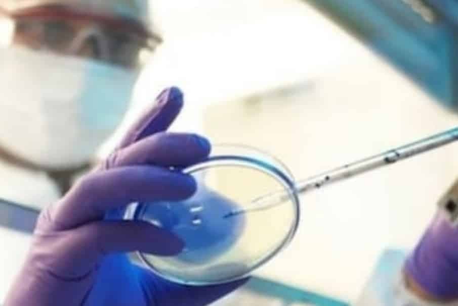 ब्लैक फंगस के बाद अब नया खतरा, पढ़िए रिपोर्ट