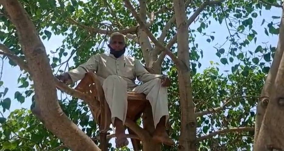 बुजुर्ग ने पीपल के पेड़ पर डाला डेरा, ये है खास वजह