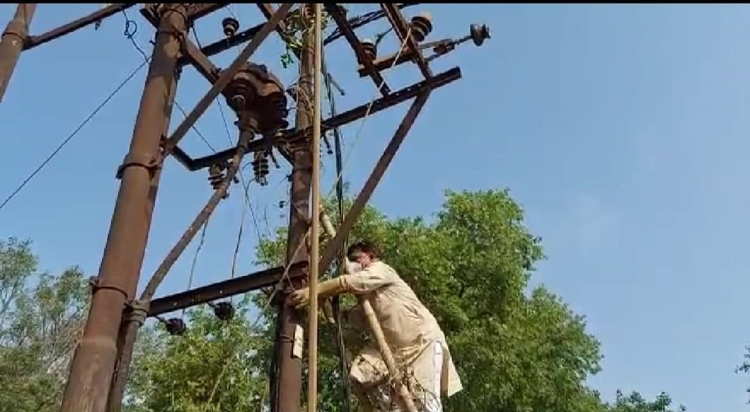 Gwalior: मंत्री जी ने तोड़ा कानून! बिजली के खंबे पर चढ़कर की सफाई, देखें Video