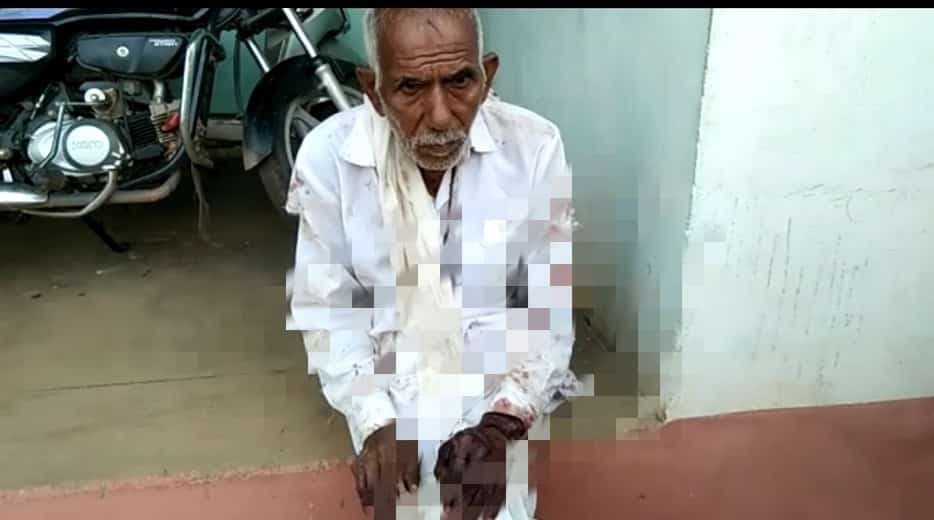 शिवपुरी- तेंदुए के हमले में बुजुर्ग घायल, ग्रामीणों में दहशत