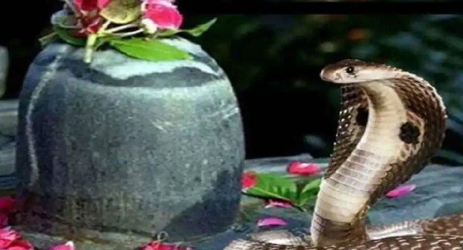 नागपंचमी आज, इस तरह व्रत और पूजा करने से होंगे नाग देवता प्रसन्न
