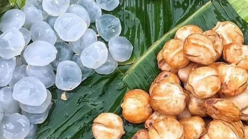 सेहत के लिए बेहद फायदेमंद है ताड़गोला फल, जानें अद्भुत फायदे