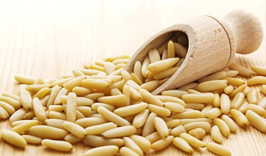 पोषक तत्वों का खजाना है Pine Nuts, सबसे महंगे ड्राई फ्रूट में है शामिल