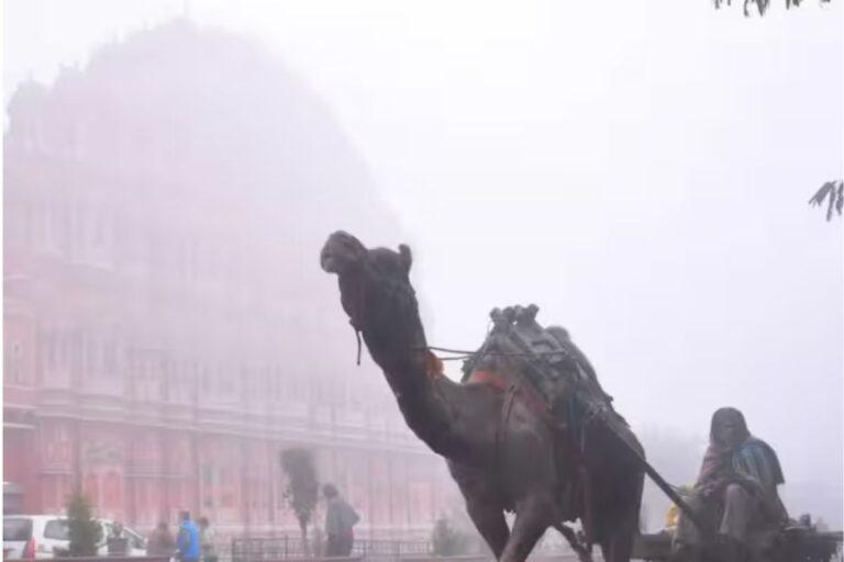 Rajasthan Weather: 1 हफ्ते शुष्क रहेगा मौसम, घने कोहरे व कोल्ड डे का अलर्ट, स्कूलों में छुट्टी, पढ़े IMD का नया अपडेट