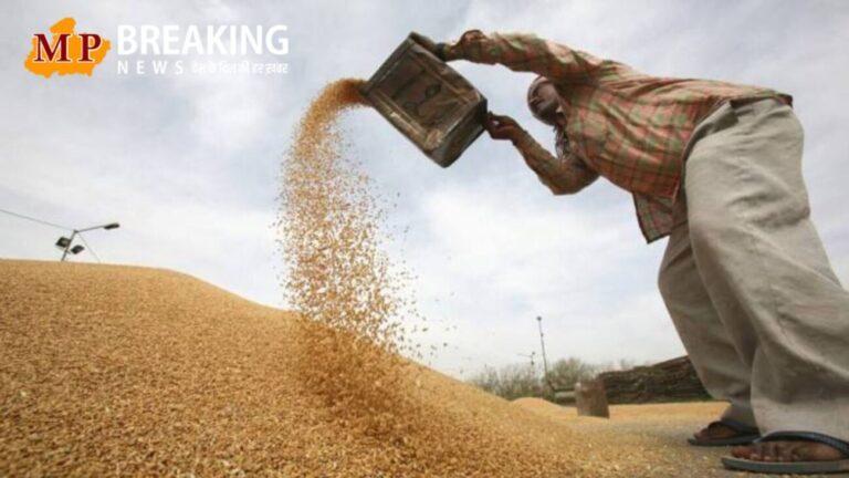 मध्य प्रदेश गेहूं उपार्जन: अबतक 1 लाख 81 हजार किसानों ने कराया पंजीयन, 7 मार्च तक चलेगी प्रक्रिया, जानें नियम-रेट और अन्य डिटेल्स