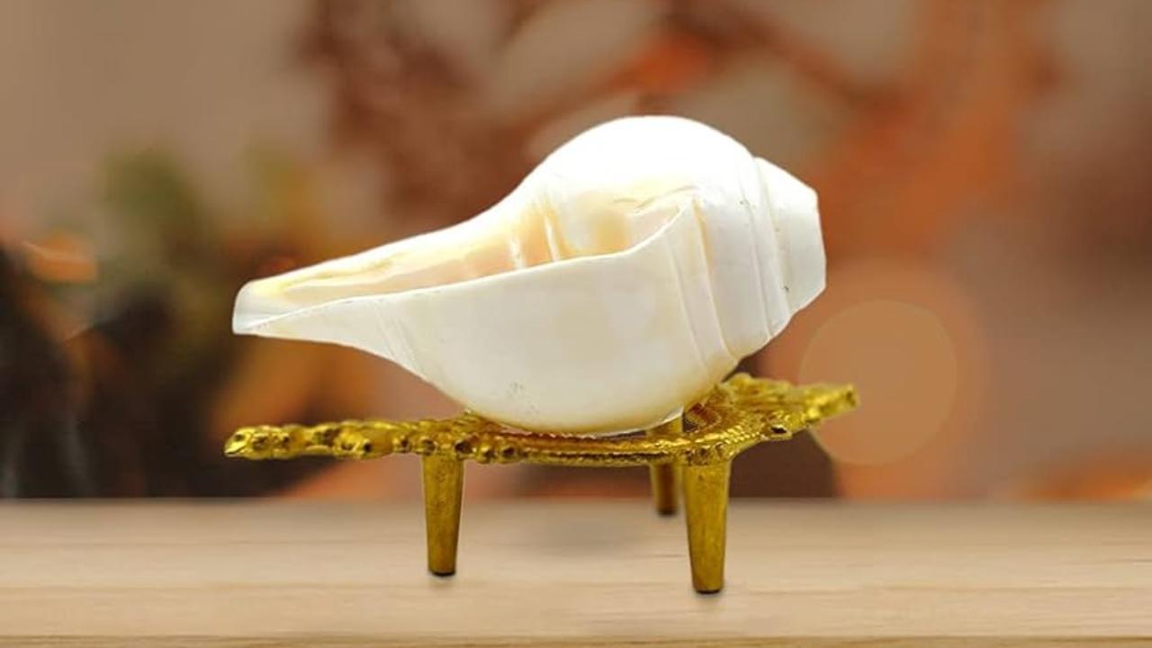 Puja Path Niyam: घर में रखते हैं शंख तो जान लें ये नियम, जरूर करें ये काम, बरसेगी देवी-देवताओं की कृपा