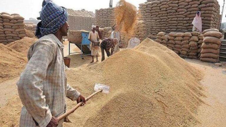 किसानों के लिए अच्छी खबर : MSP पर गेहूं उपार्जन के लिए 7 फरवरी से 7 मार्च तक होगा पंजीयन, खाद्य मंत्री ने की ये अपील