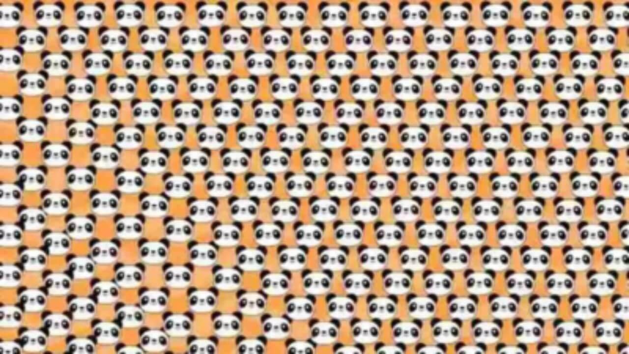 Optical Illusion: इस तस्वीर में छिपा हैं एक अलग पांडा? चेक करें कितनी तेज है आपकी नजर