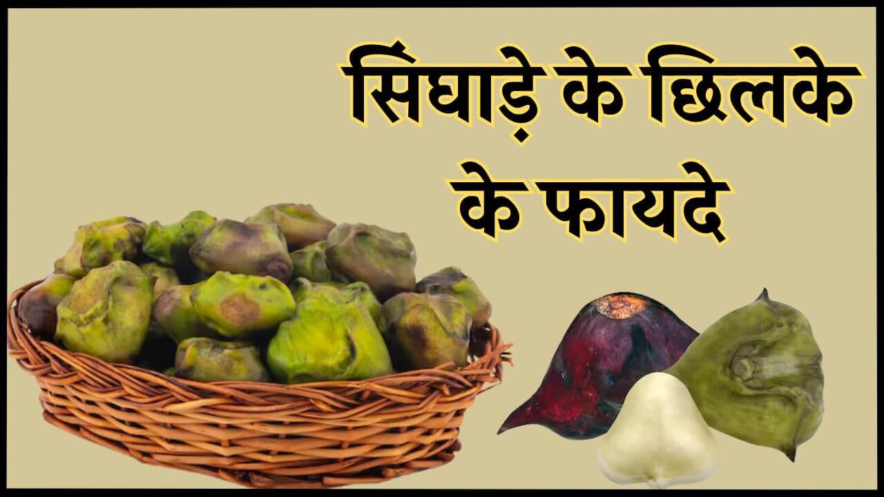 सिंघाड़े के छिलके में छुपा है सेहत का राज, दूर होगी झुर्रियां, कई समस्याओं से मिलेगा छुटकारा, ऐसे करें उपयोग