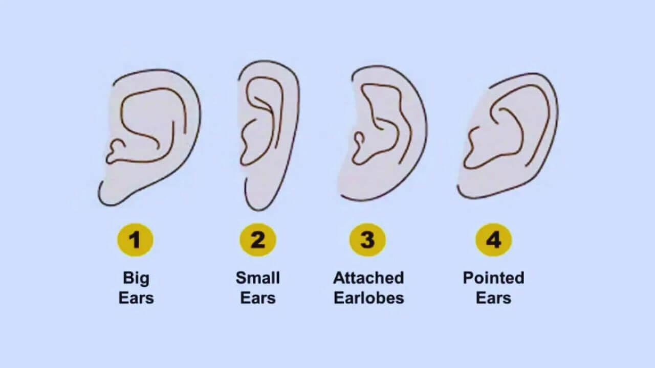 Personality Test: कान की बनावट बताएगी व्यक्तित्व के राज, आकार से करें स्वभाव की पहचान