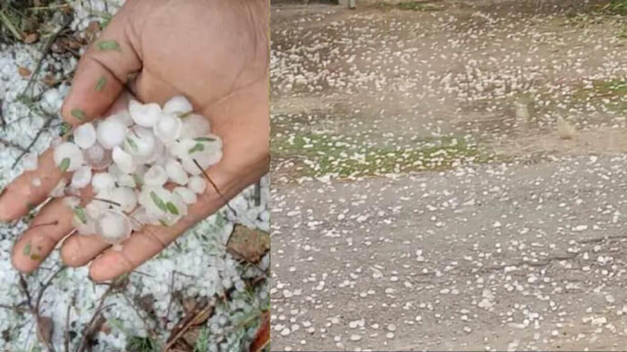 किसानों के लिए आफत बनकर आई बेमौसम बारिश और ओलावृष्टि, फसलें बर्बाद, मुआवजा देने की मांग