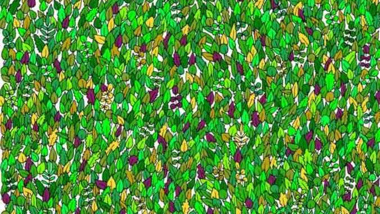 सिर्फ 5 सेकंड में ढूंढकर दिखाएं, पत्तों के बीच छिपा मेंढक, जीनियस ही कर सकते हैं ये काम