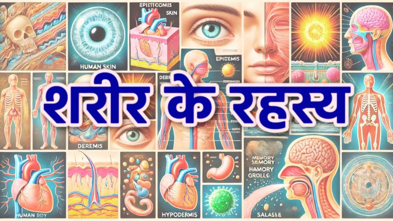 कितनी है आपकी त्वचा की मोटाई, पलकों में होते हैं कितने बाल, क्या आप अपने शरीर को सचमुच जानते हैं, रोचक तथ्य