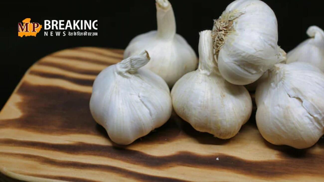 क्या गर्मी के मौसम में कच्चा लहसुन खाना सही? जानिए कैसी है इसकी तासीर