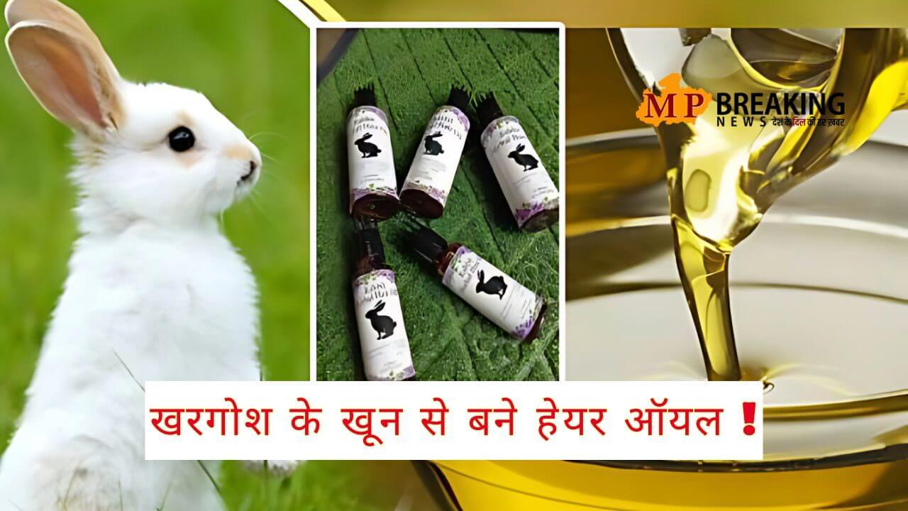 खरगोश के खून से बने हेयर ऑयल धड़ल्ले से बिक रहे हैं अमेजॉन और फ्लिपकार्ट पर! बनाने वाली कंपनी का दावा ‘सरकार ने दी मंजूरी!’