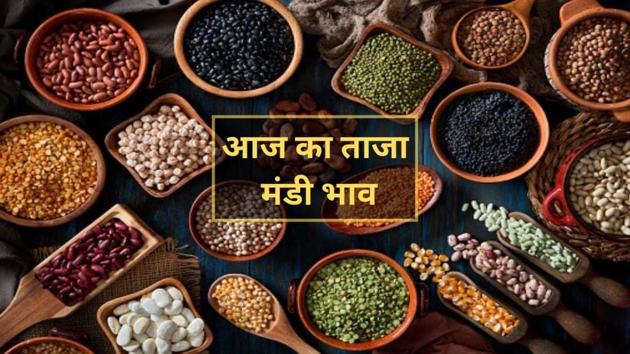 27 जुलाई के ताजा Mandi Bhav जानें, किस फसल ने दिलाई राहत, किसने बढ़ाई चिंता?