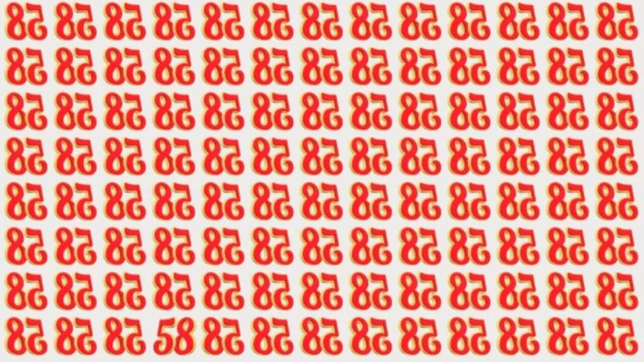 6 सेकंड की चुनौती: तस्वीर में छिपा है एक सीधा 58, लेकिन 90% लोग नहीं ढूंढ पाए, क्या आप…….