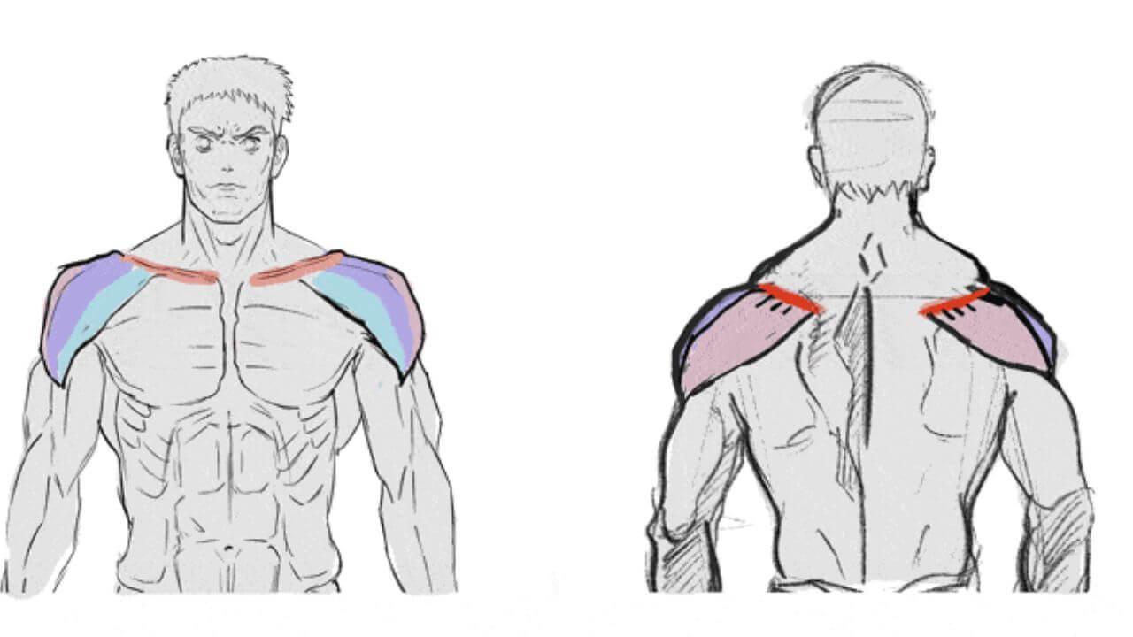 Personality Test: कंधे से पहचाने व्यक्ति के छुपे हुए गुण, आकार खोलेगा दिल के राज
