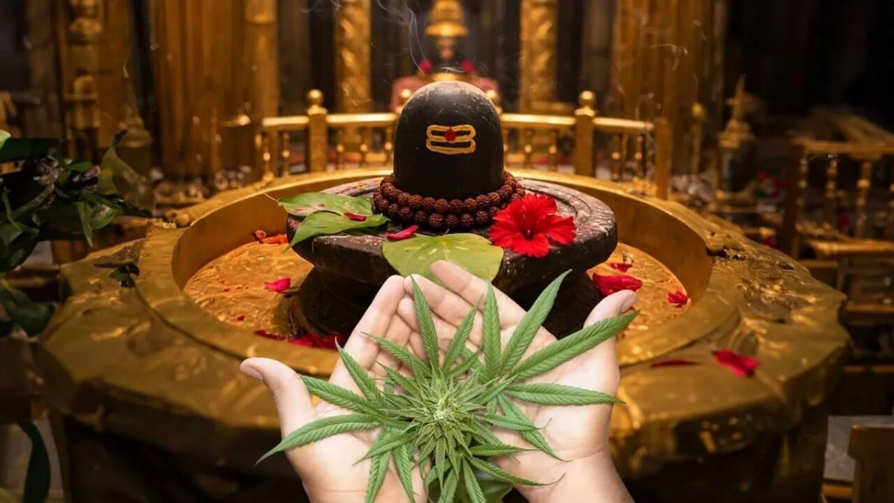 सावन 2025: कब से शुरू हो रहा है पावन महीना? भांग के ये 2 उपाय शिव कृपा पाने के लिए जरूर करें