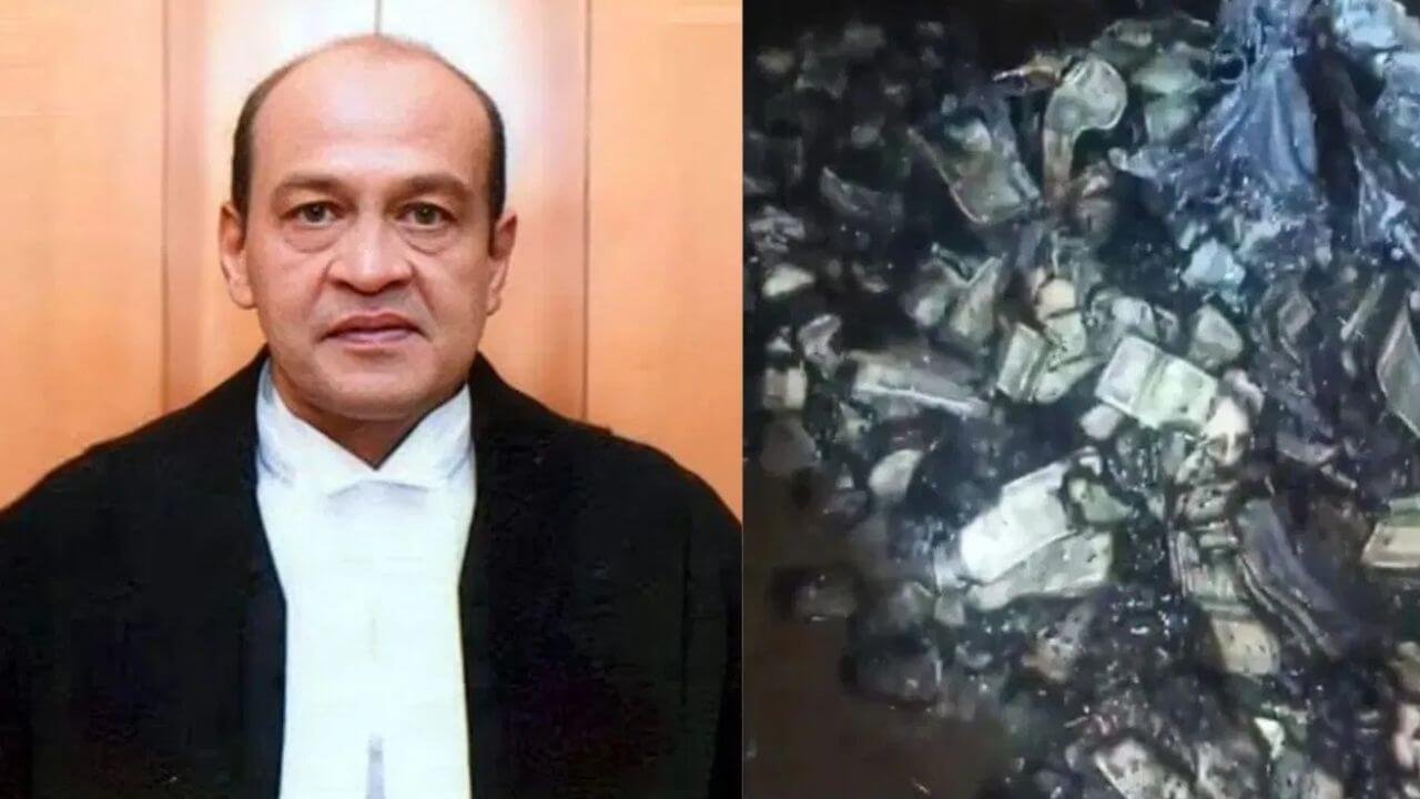 ‘मुख्य न्यायाधीश का कार्यालय पोस्ट ऑफिस नहीं’, सुप्रीम कोर्ट कैश कांड पर सुनवाई के दौरान क्यों भड़का