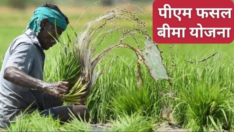 छत्तीसगढ़: प्रधानमंत्री फसल बीमा योजना के तहत पंजीयन शुरू, धान-मक्का समेत 11 फसलें शामिल, 31 जुलाई अंतिम तिथि