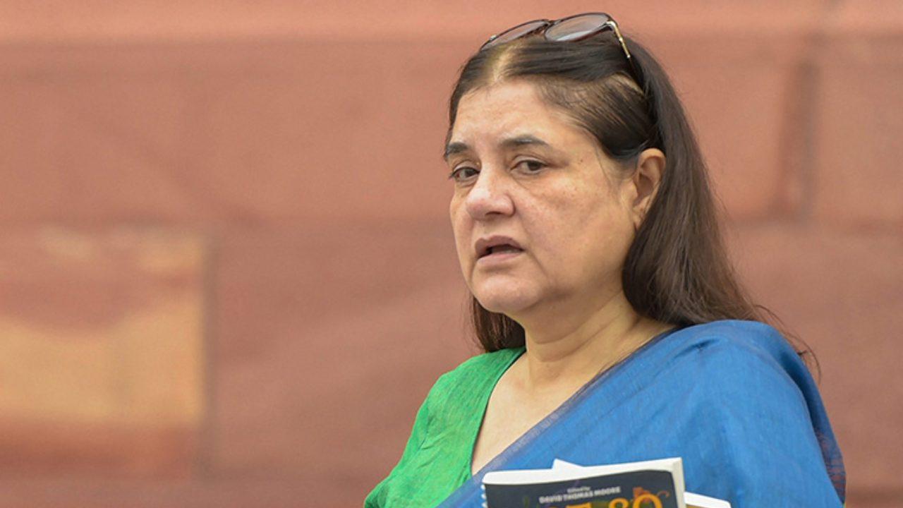 ‘जो लोग पटाखे जलाते हैं वे देशद्रोही..’ दिल्ली में बढ़ते प्रदूषण को लेकर बीजेपी नेता मेनका गांधी का बड़ा बयान, दिवाली-दशहरा का भी किया जिक्र