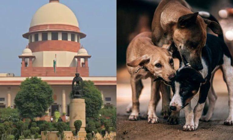 आवारा कुत्तों पर सुप्रीम कोर्ट ने फैसला रखा सुरक्षित, राज्यों की निष्क्रियता और असम के आंकड़ों पर जताई गहरी नाराजगी