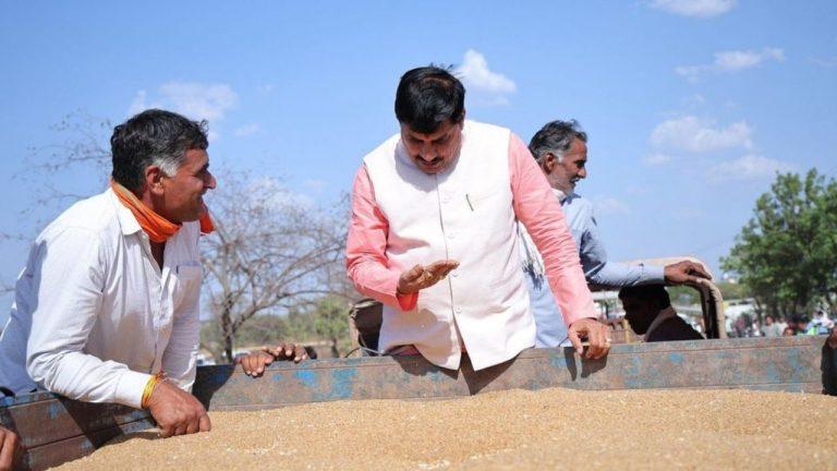 गेंहू खरीदी में MP देश में सबसे आगे, 13.36 लाख किसानों से 103.48 लाख मीट्रिक टन उपार्जन, 28 मई तक जारी रहेगी प्रक्रिया
