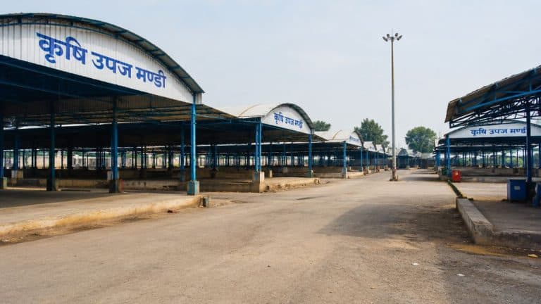 MP मंडी टैक्स बढ़ोतरी पर बवाल: आज प्रदेशभर की मंडियां बंद, किसानों-व्यापारियों में बढ़ा तनाव