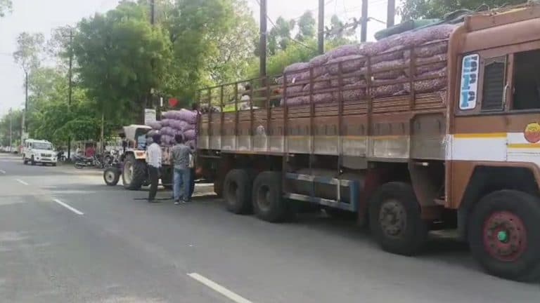 जावद मंडी में ऊटी लहसुन बीज पर टैक्स चोरी की आशंका, वायरल वीडियो के बाद जांच की मांग तेज