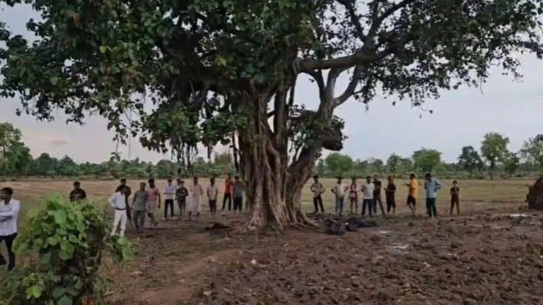 छतरपुर में आकाशीय बिजली का कहर: बरगद के पेड़ के नीचे खड़ी 10 बकरियों की मौत, गरीब परिवार को लाखों का नुकसान