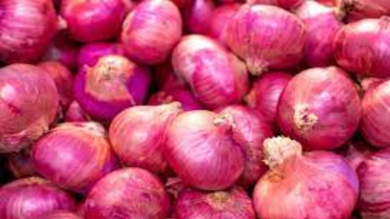 राज्यातील कांदा उत्पादक संकटात; प्रत नसल्याने दर ढासळले!