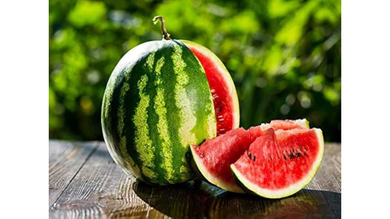 टरबूज चुकीच्या पद्धतीने खाल्ल्यास होऊ शकते मोठे नुकसान