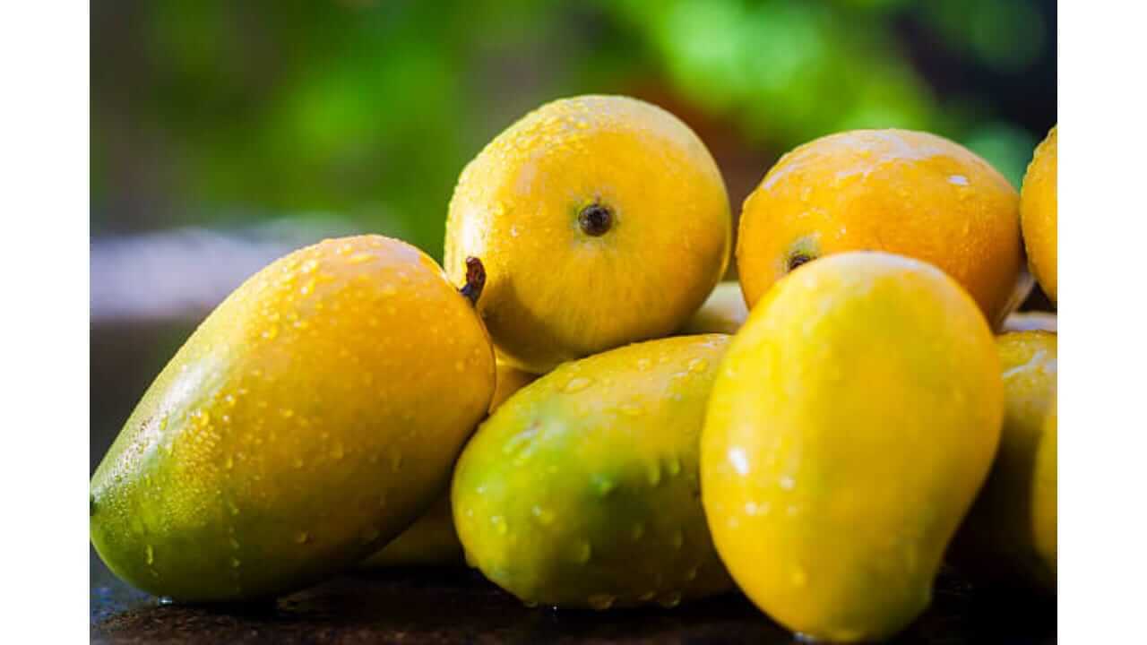 आंबा खायला खूप आवडतो? जाणून घ्या त्याने शरीराला होणारे फायदे आणि तोटे…