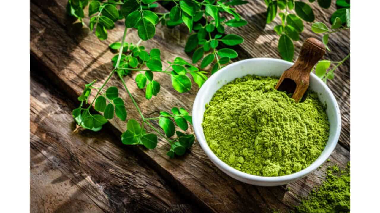 शेवग्याच्या पानांची पावडर आणि त्याचे फायदे….